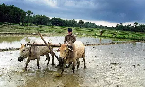 Farmers, Rythu Bharosa scheme, Telangana Govt, CM Revanth Reddy