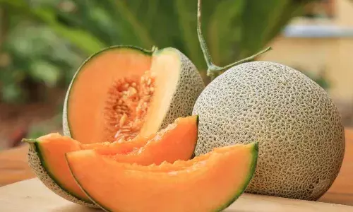Muskmelon benefits, Summer fruits, Dehydration tips, Muskmelon nutrition, Vitamin A and C foods, Hydrating fruits for summer, Health tips Telugu, Summer health guide