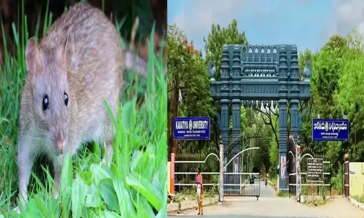 Telangana, Warangal, Kakatiya University, RatBite, StudentSafety, KUTwinsHostel, SanitationIssues