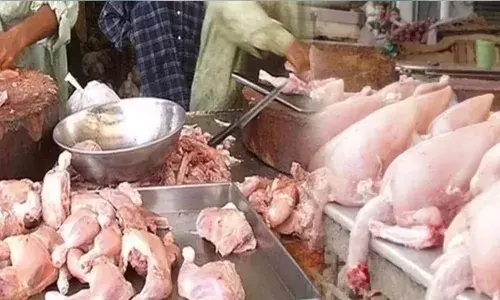 చికెన్ దొరకట్లేదా..?