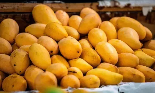 Food Adulteration, H-FAST Hyderabad Police, Chemically Ripened Mangoes, Calcium Carbide Danger, Public Health Safety, VC Sajjanar IPS, Food Safety Awareness, Artificial Ripening Warning