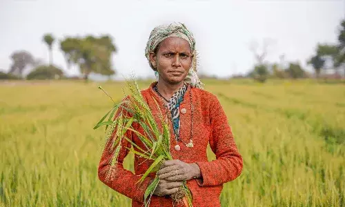 Rythu Bharosa Second Installment, Agriculture Subsidy Telangana, Yasangi Season Payments, Government Market Loans, Farmer Welfare Schemes, Direct Benefit Transfer (DBT), Agricultural Fund Mobilization