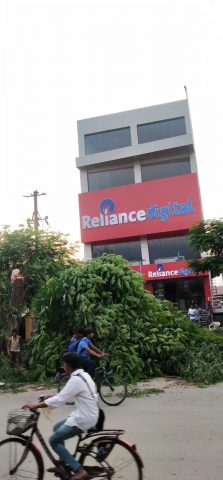 చెట్టు నరికితే లక్ష జరిమానా..!