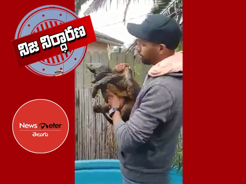 శవాలను పీక్కు తినే కబెర్బిజు కథా కమామీషు ఏంటో తెలుసా..?- ఇదీ అసలు నిజం