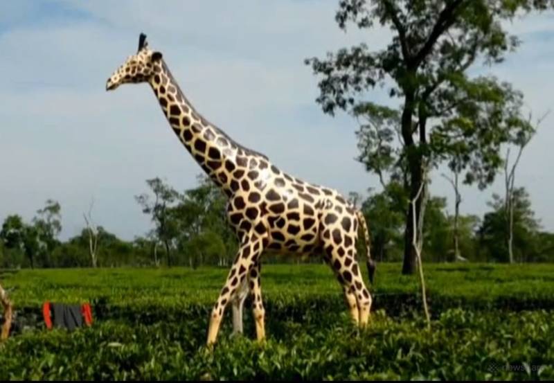 Dummy giraffe scares elephants