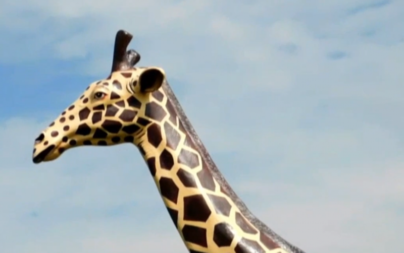Dummy giraffe scares elephants