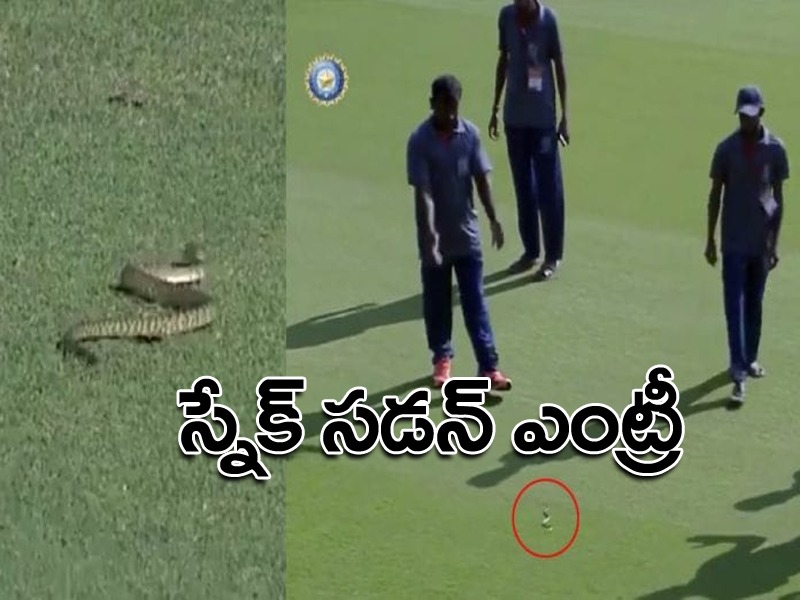 లైవ్ మ్యాచ్లోకి పాము ఎంట్రీ.. తర్వాత ఏం జరిగిందంటే..! లైవ్ మ్యాచ్లోకి పాము ఎంట్రీ.. తర్వాత ఏం జరిగిందంటే..!