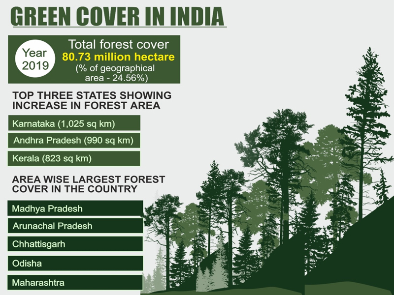 State Of Forest Report 2019 2
