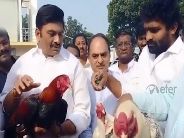 రాజుగారి కోర్టు ధిక్కారం..!