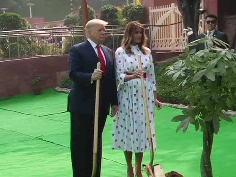 Trump plant a tree at Raj Ghat 