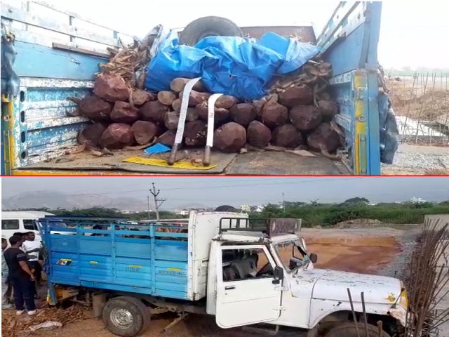 ఎర్రచందనం దుంగల పట్టివేత.. పోలీసుల అదుపులో ఇద్దరు