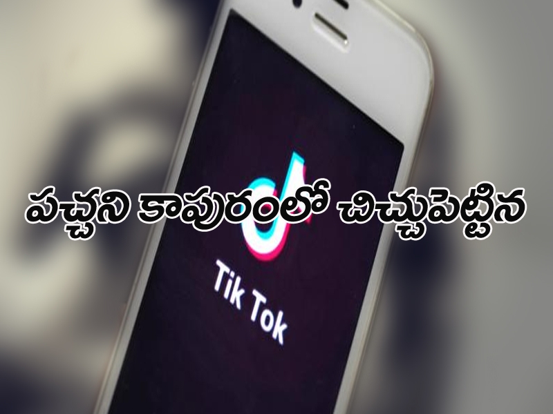 టిక్ టాక్ కోసం భర్తను వదిలేసిన పతివ్రత !! టిక్ టాక్ కోసం భర్తను వదిలేసిన పతివ్రత !!