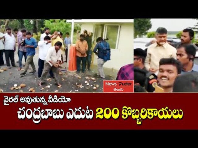 200 కొబ్బరికాయలు కొట్టిన బాలయ్య అభిమానులు
