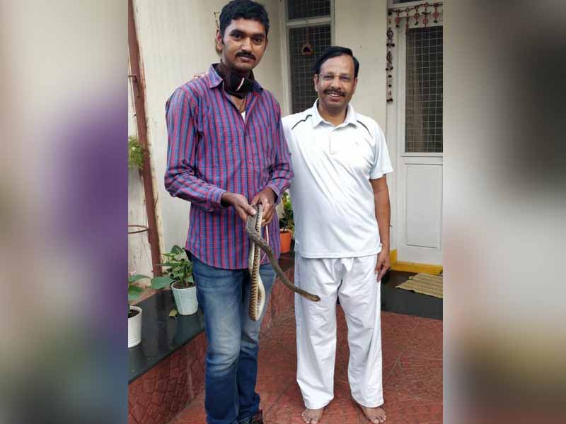 సీపీ సజ్జనార్ ఇంట్లో పాము కలకలం.. సీపీ సజ్జనార్ ఇంట్లో పాము కలకలం..