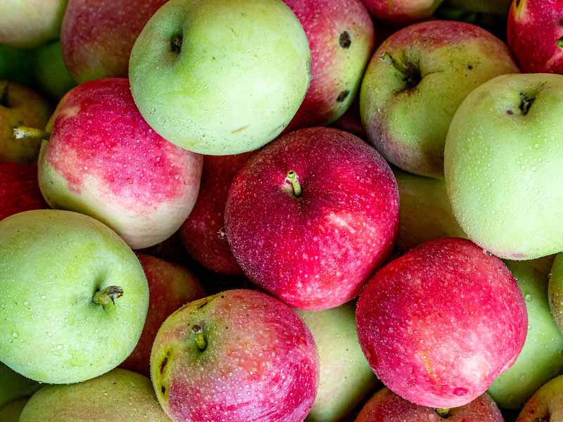 Interesting facts about apples