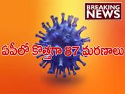 ఏపీలో తగ్గని కరోనా బీభత్సం.. కొత్తగా 8,732 కేసులు.. 87 మరణాలు