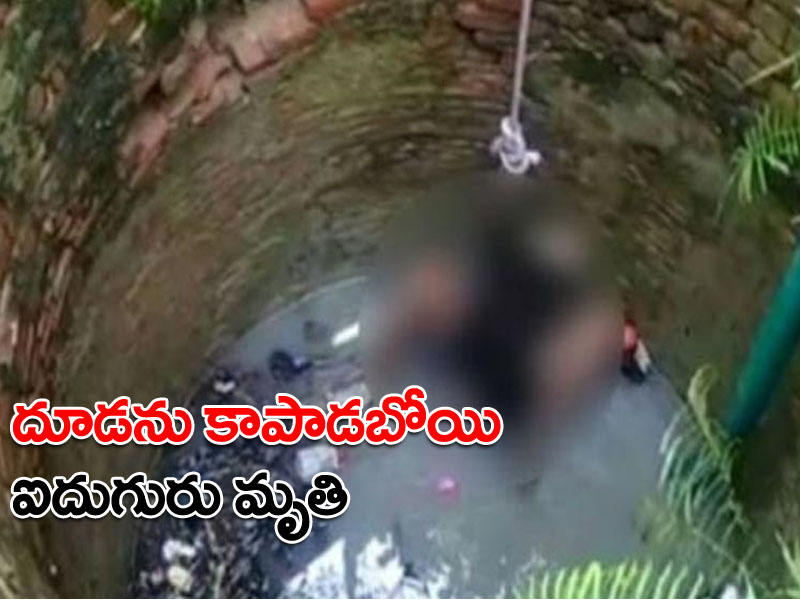 దూడను కాపాడడానికి బావిలోకి దిగిన ఐదుగురు.. ఆ తర్వాత ఏమైందంటే..! దూడను కాపాడడానికి బావిలోకి దిగిన ఐదుగురు.. ఆ తర్వాత ఏమైందంటే..!